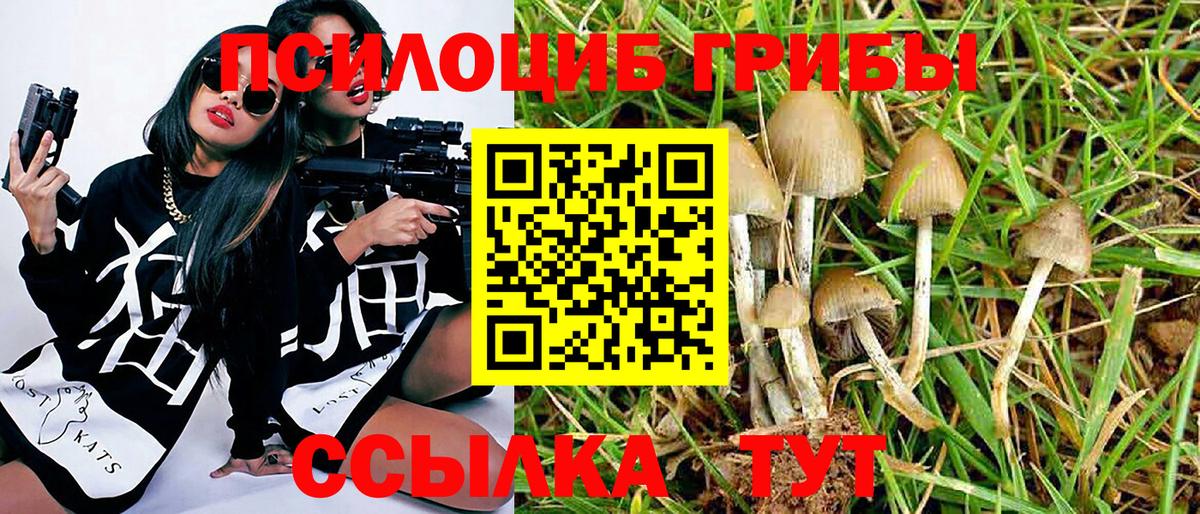 Подольск  Псилоцибиновые грибы GOLDEN TEACHER  Вход с VPN  Псилоцибиновые грибы Psilocybe 